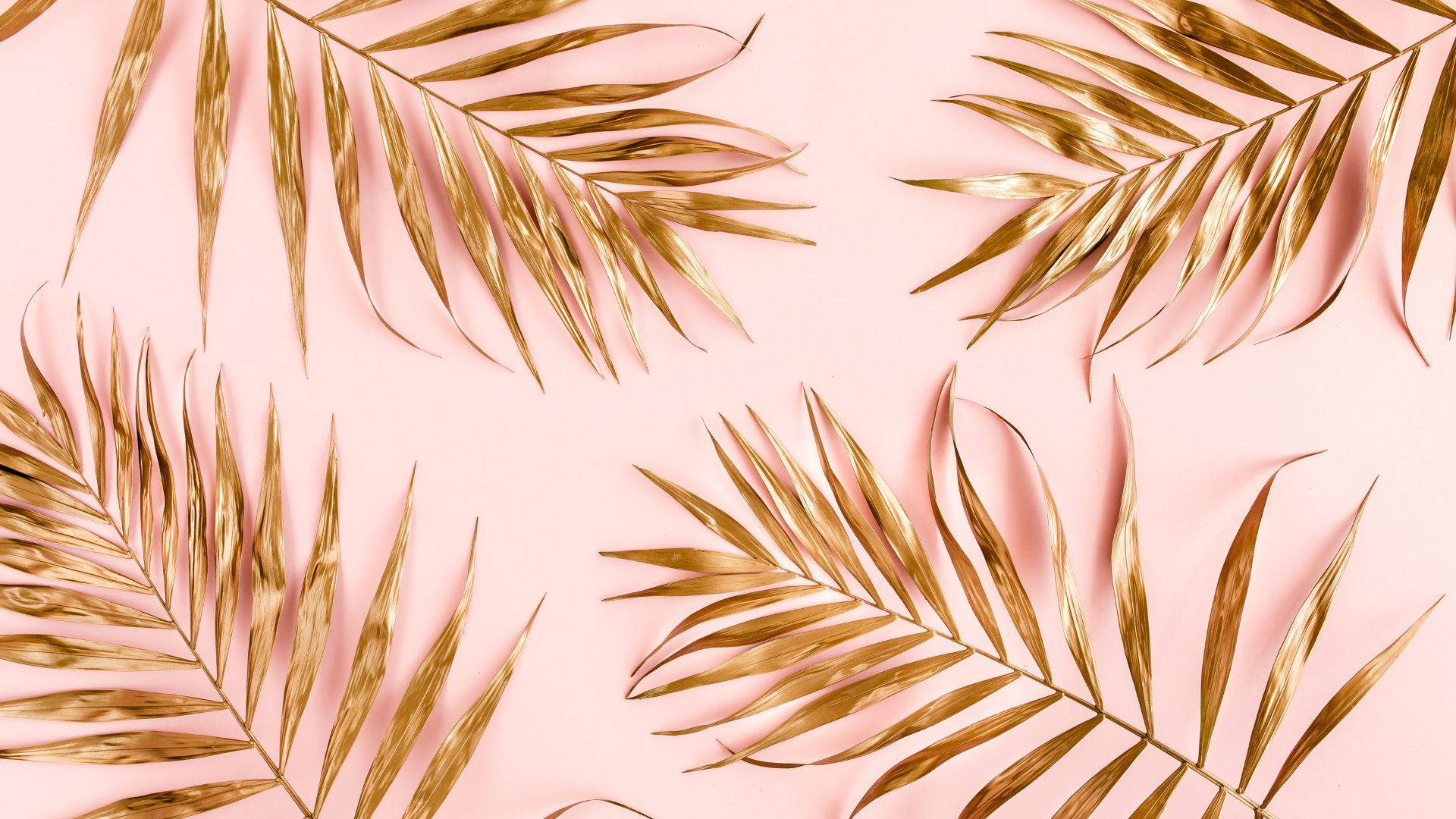 Baby Pink Surface With Dried Leaves Background