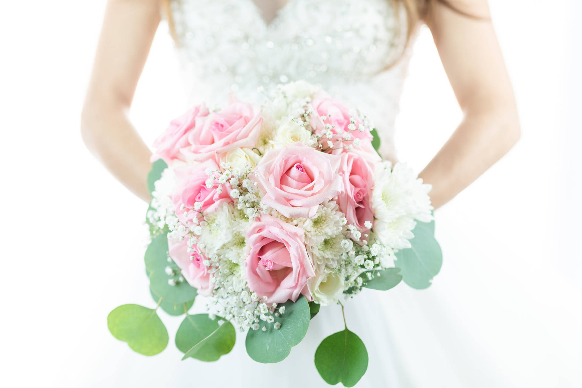 Baby's Breath And Pink Roses Flower Bouquet Background