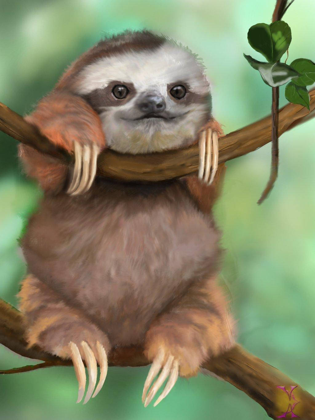 Baby Sloth Digital Paint Background