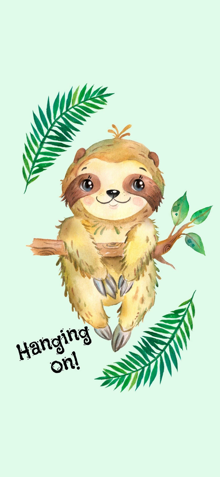 Baby Sloth Hanging On Background