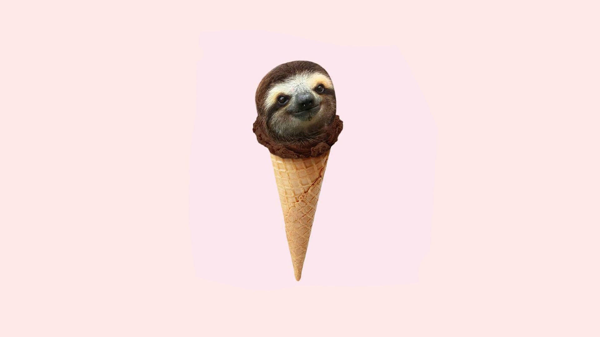 Baby Sloth Ice Cream Background