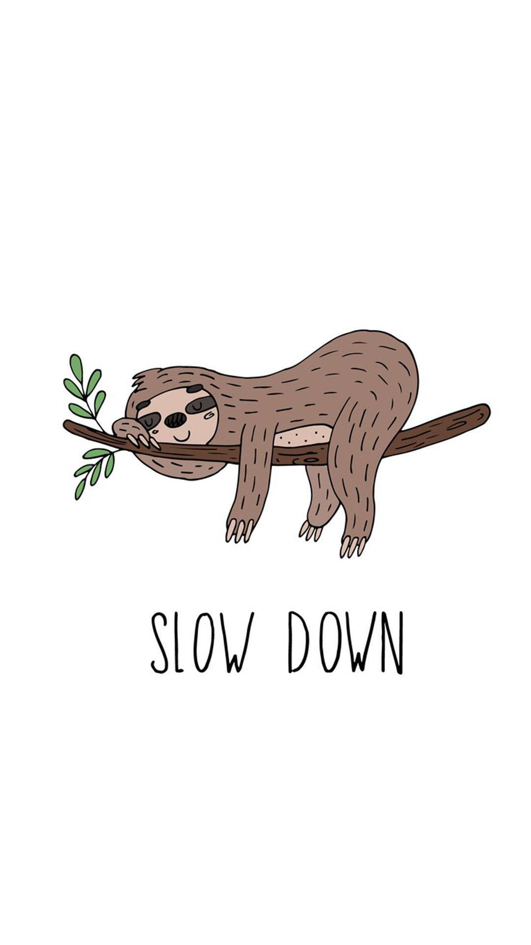 Baby Sloth Slow Down Background