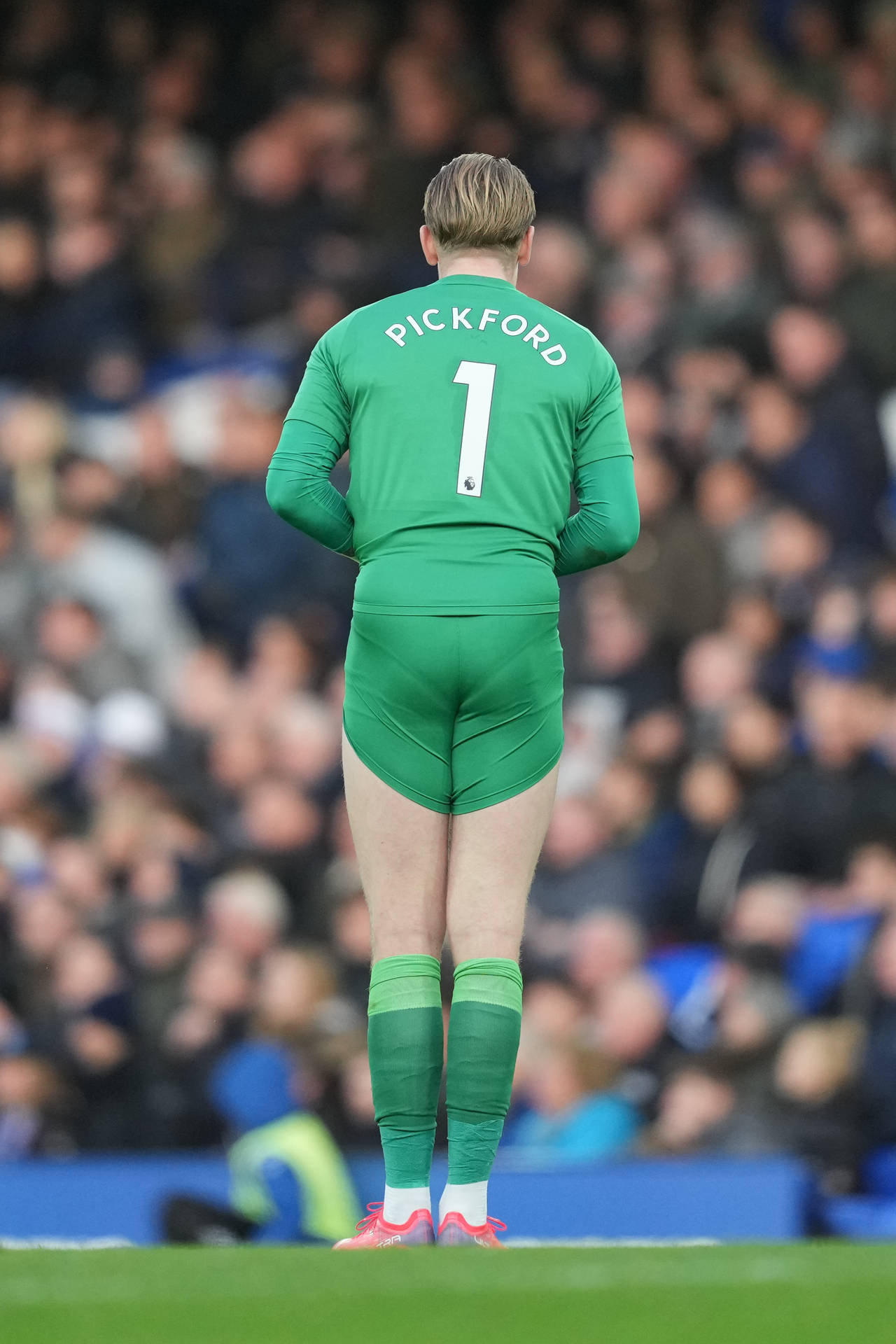 Back Of Jordan Pickford In Green Background