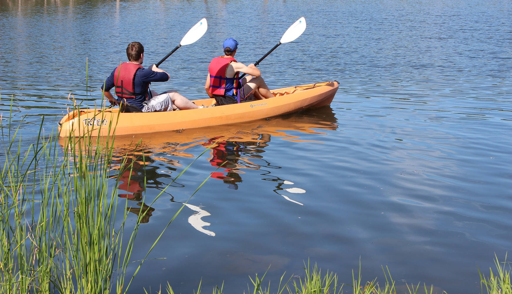 Back Shot Canoeing Background