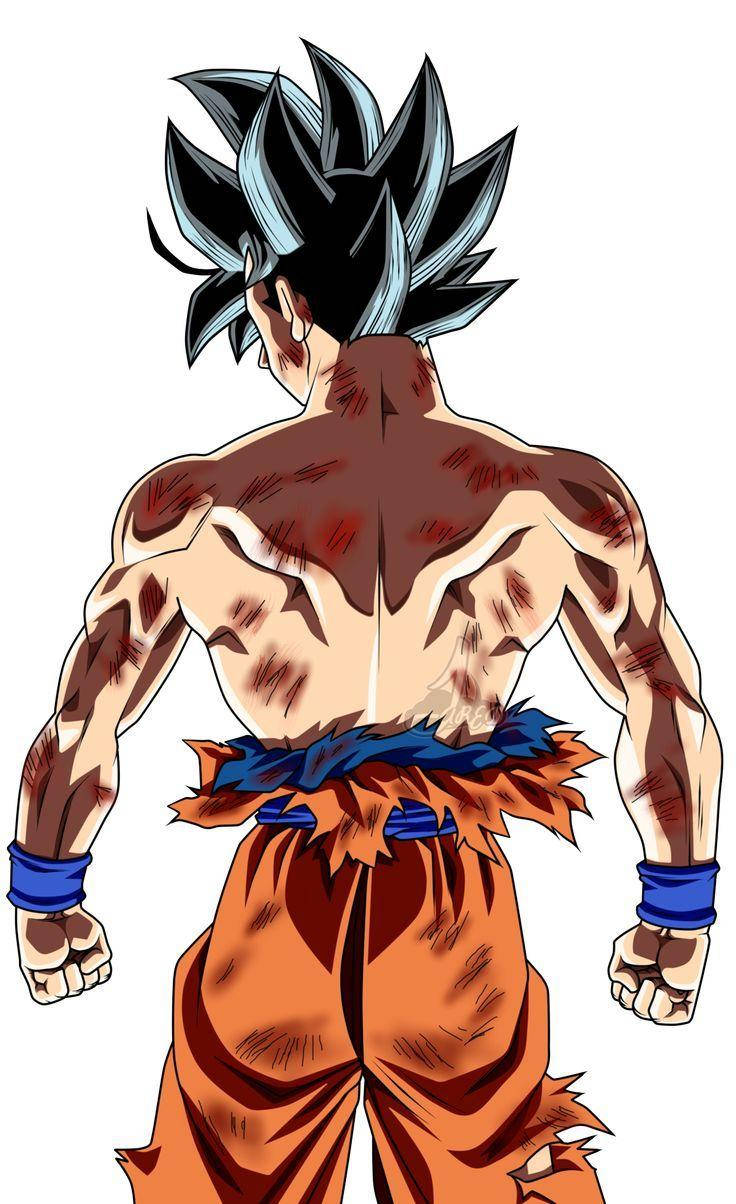 Back Ultra Instinct Goku