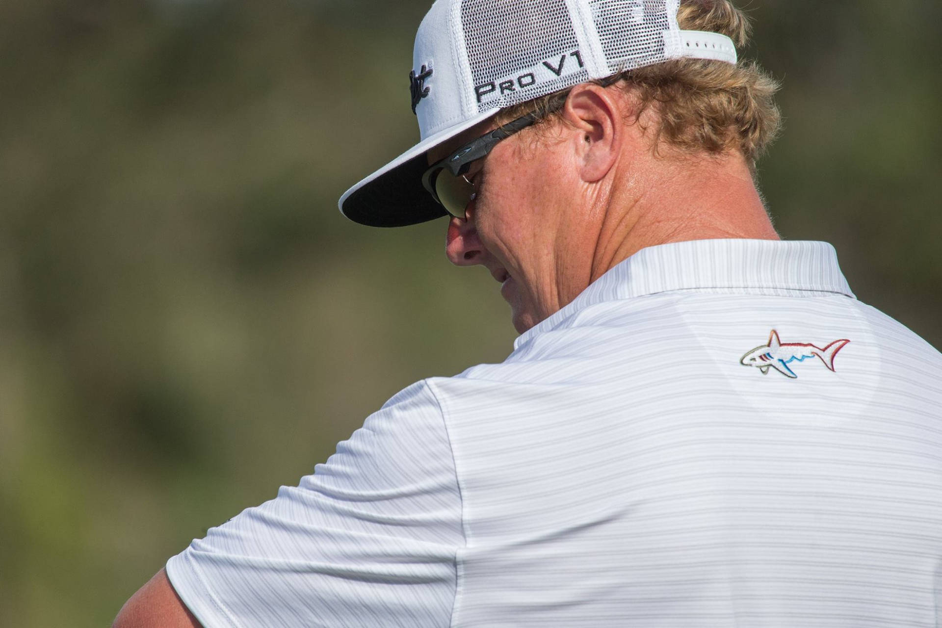 Back-view Charley Hoffman Background