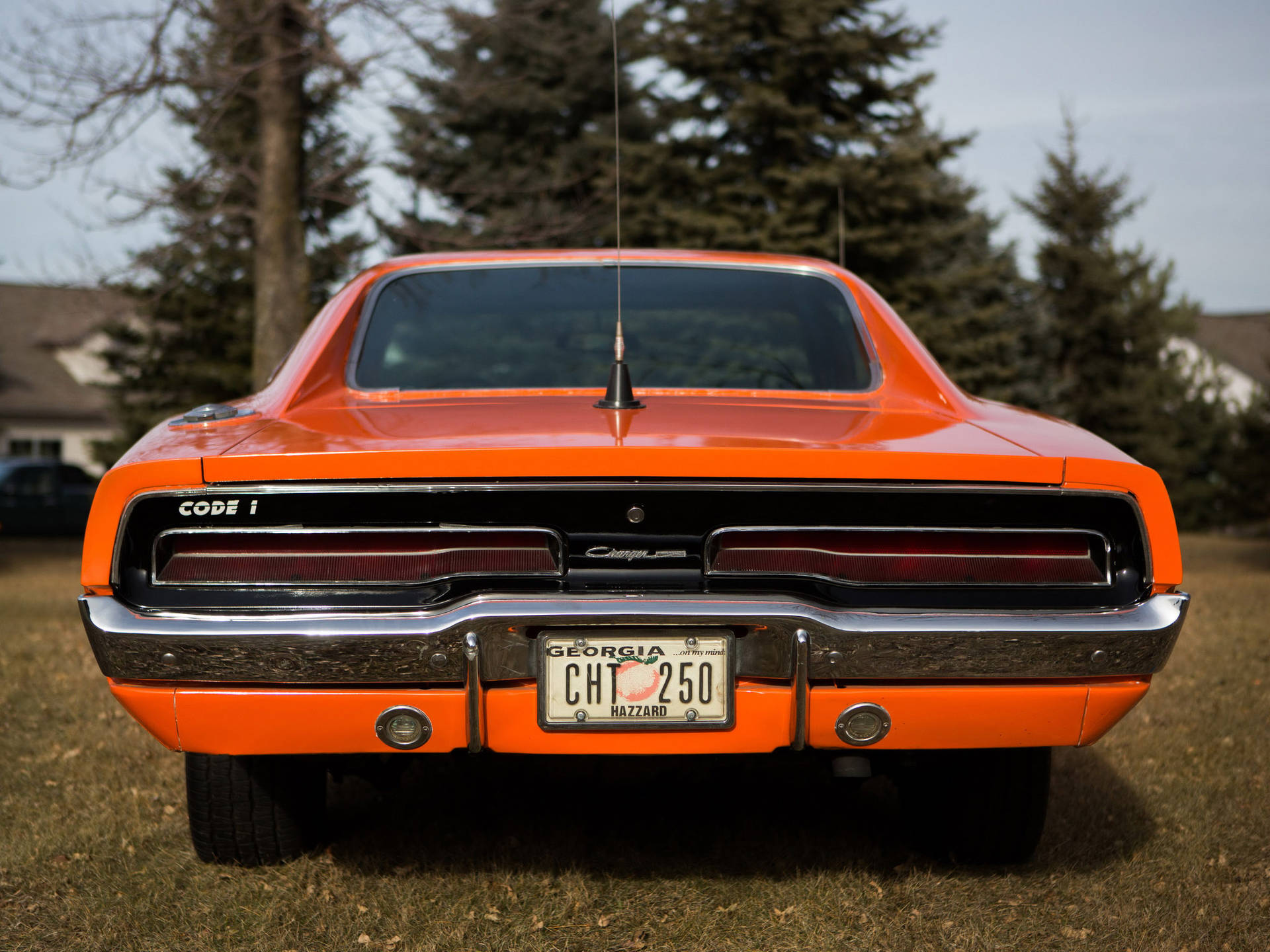 Back View Of General Lee