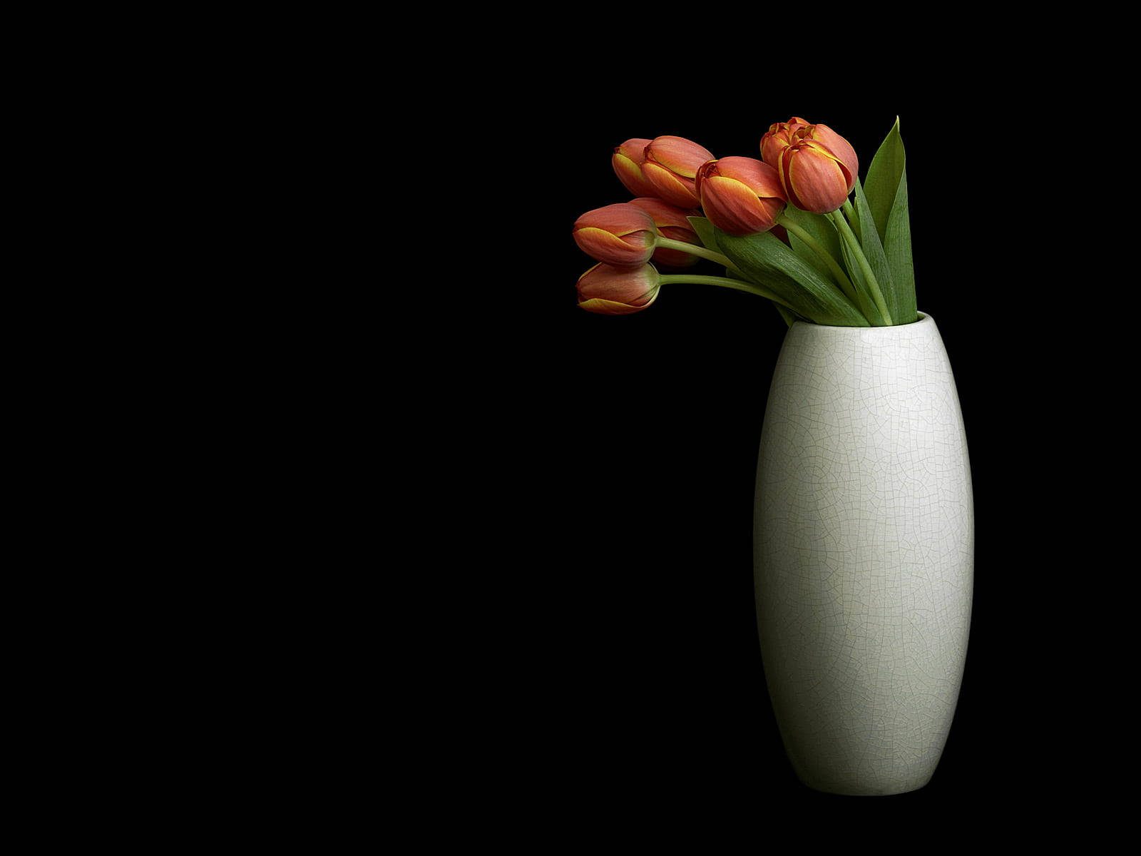 Background Black With Vased Tulips