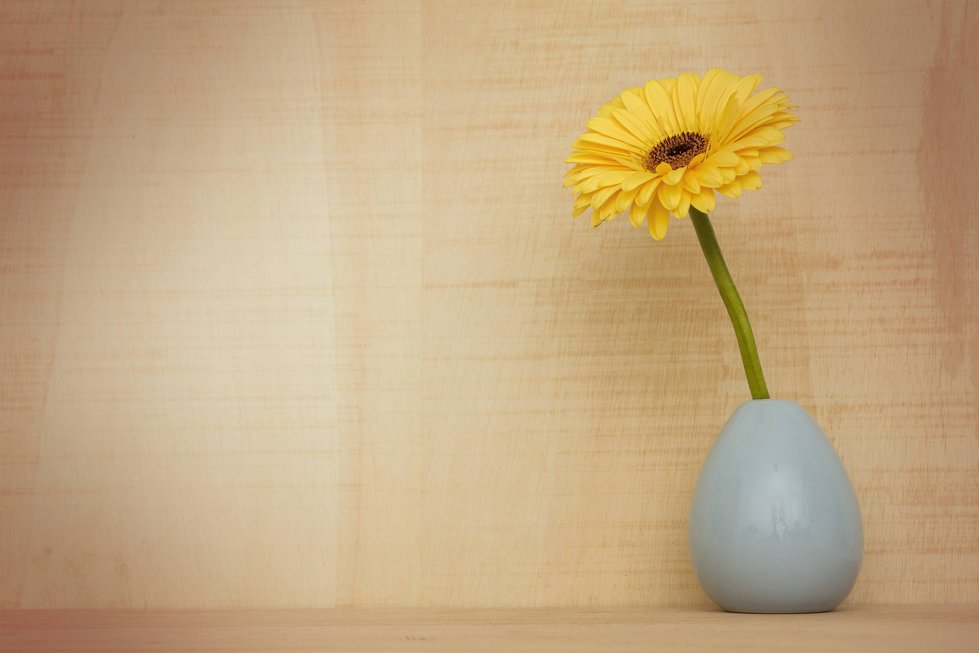 Background Design With Sunflower Vase Background