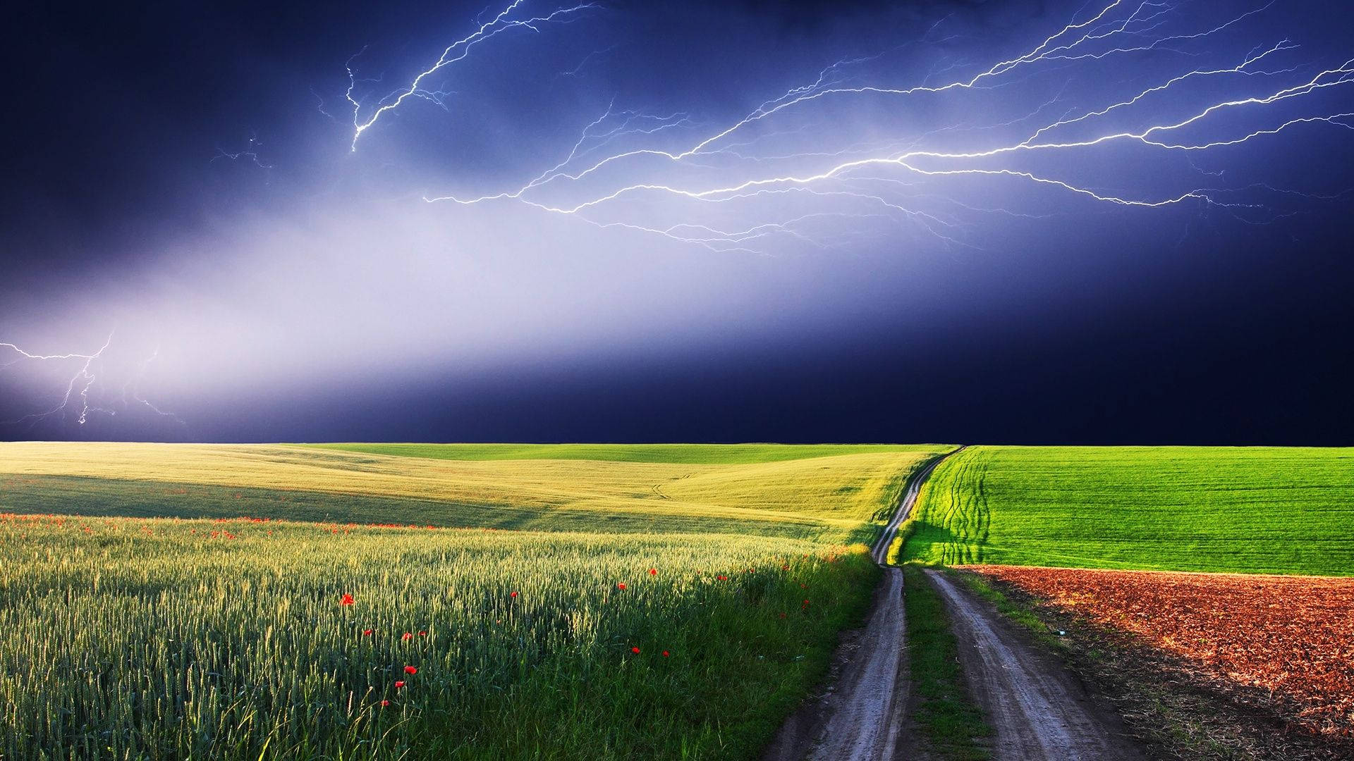 Bad Weather Meadow Landscape Background