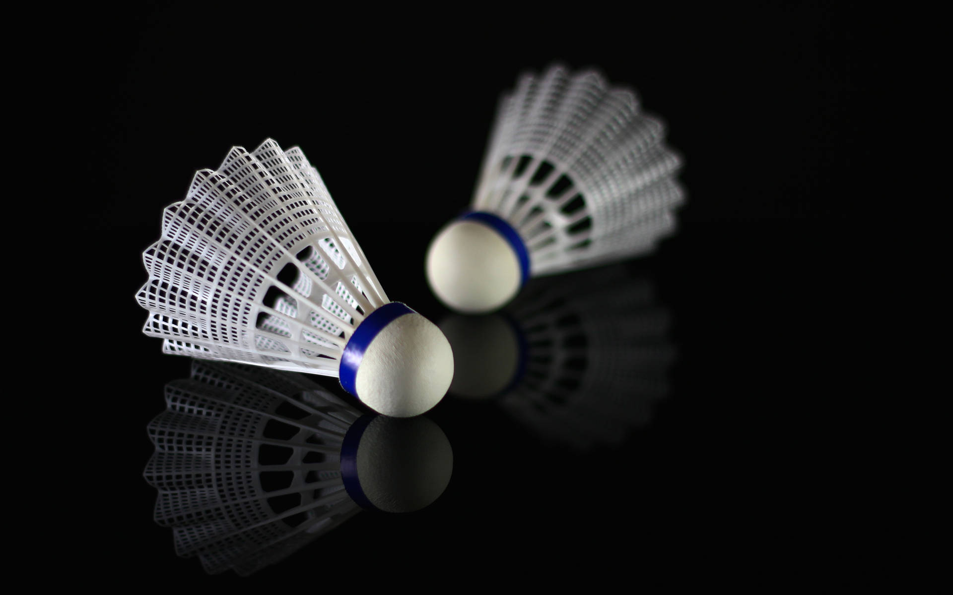 Badminton White Shuttlecock Reflection Background