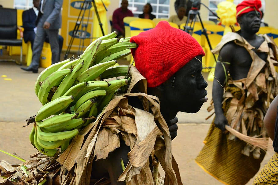 Bafaw People Carrying Unripe Bananas Cameroon Background