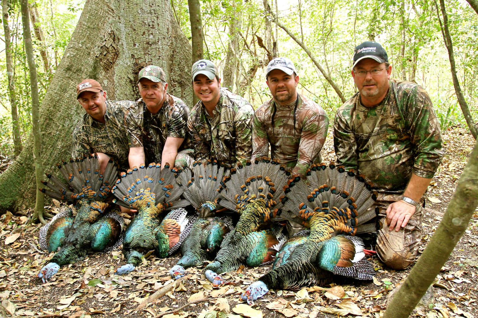 Bag The Biggest Bird On Your Next Turkey Hunt Background