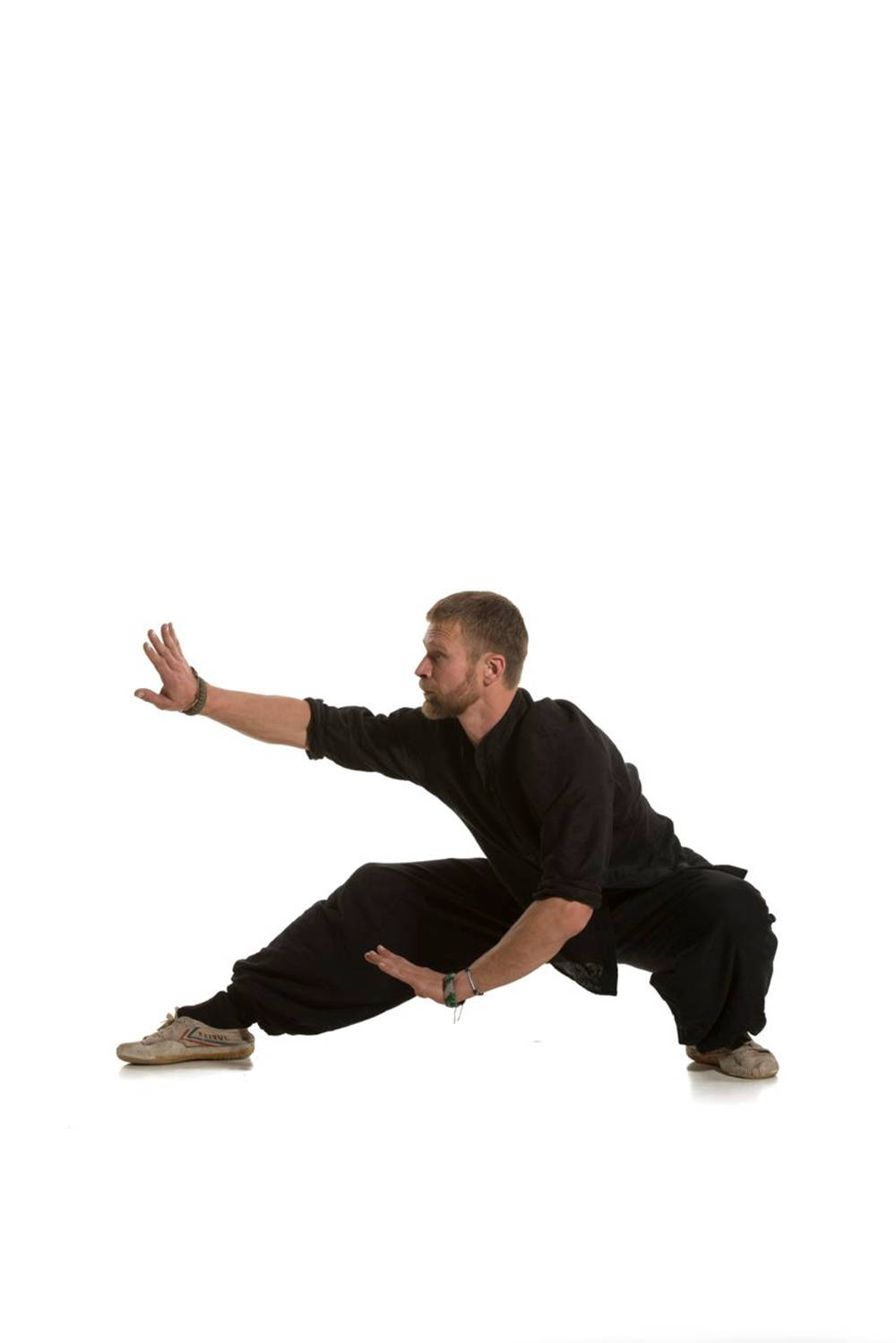 Bagua Crouched Down Background