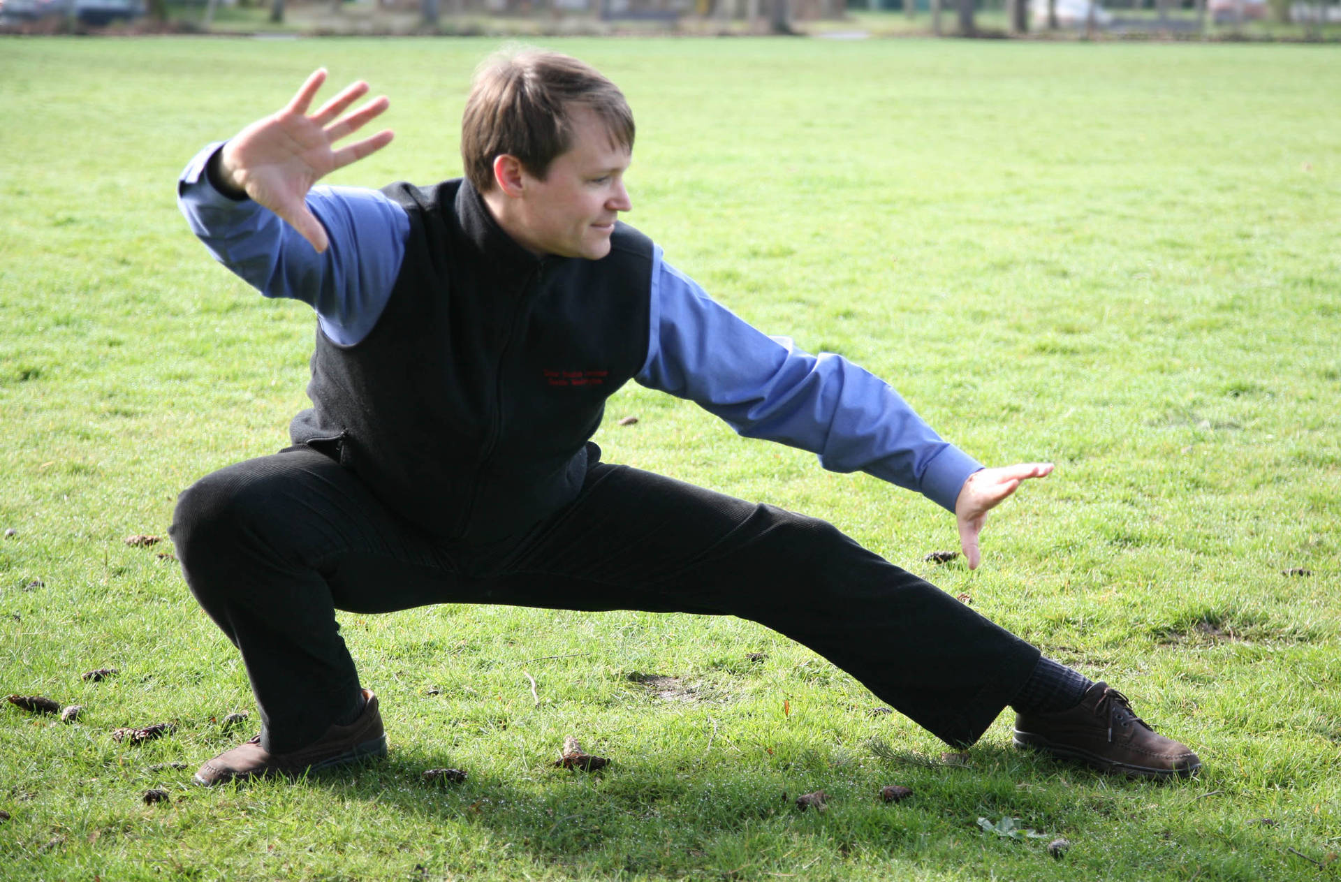 Bagua Crouching Stance Background