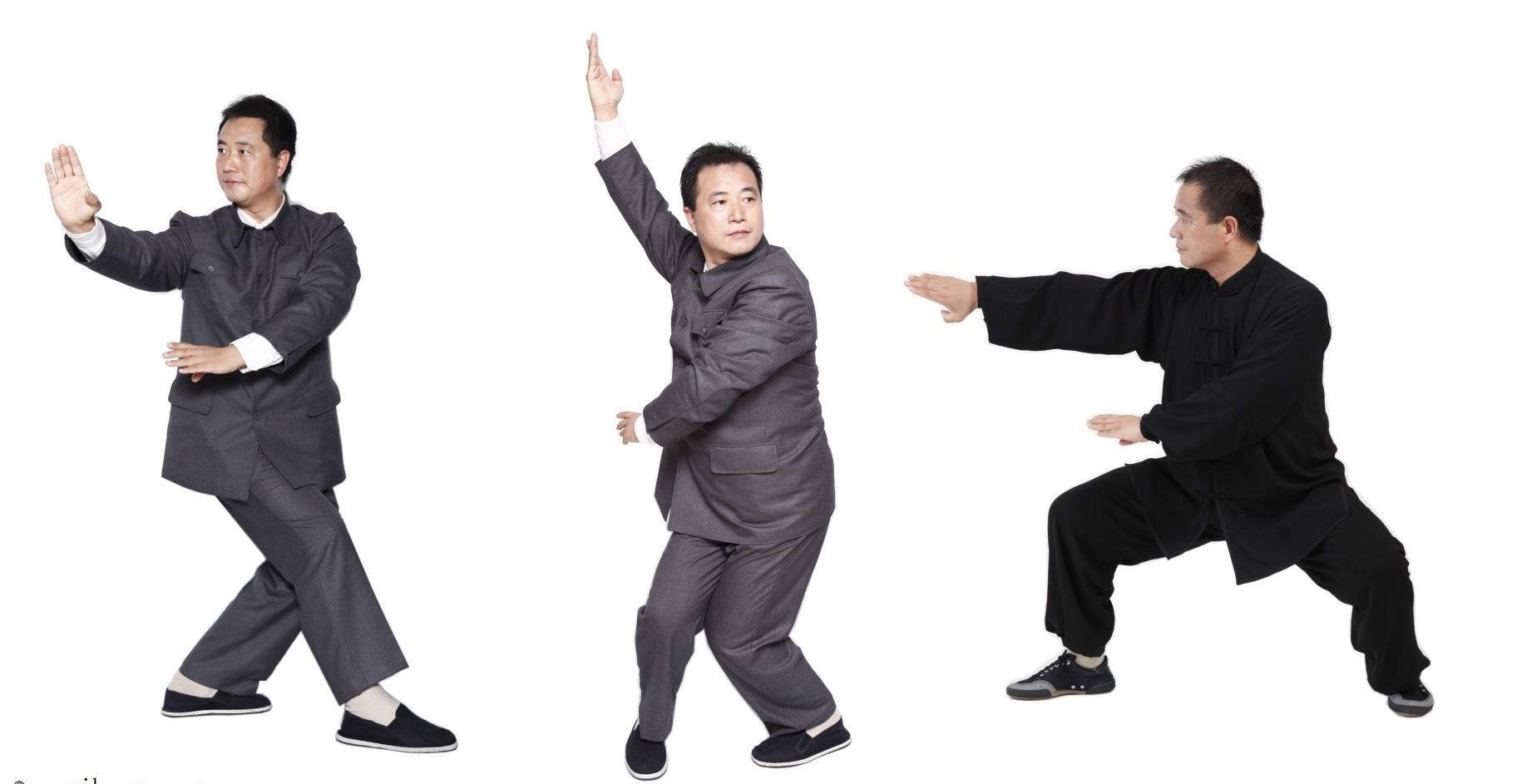 Bagua Different Fighting Stances