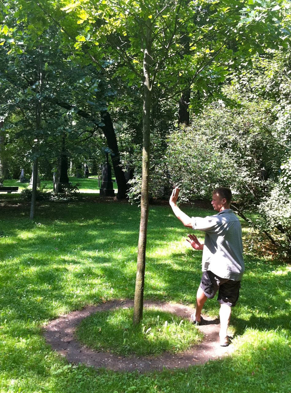 Bagua Practitioner In Nature Background