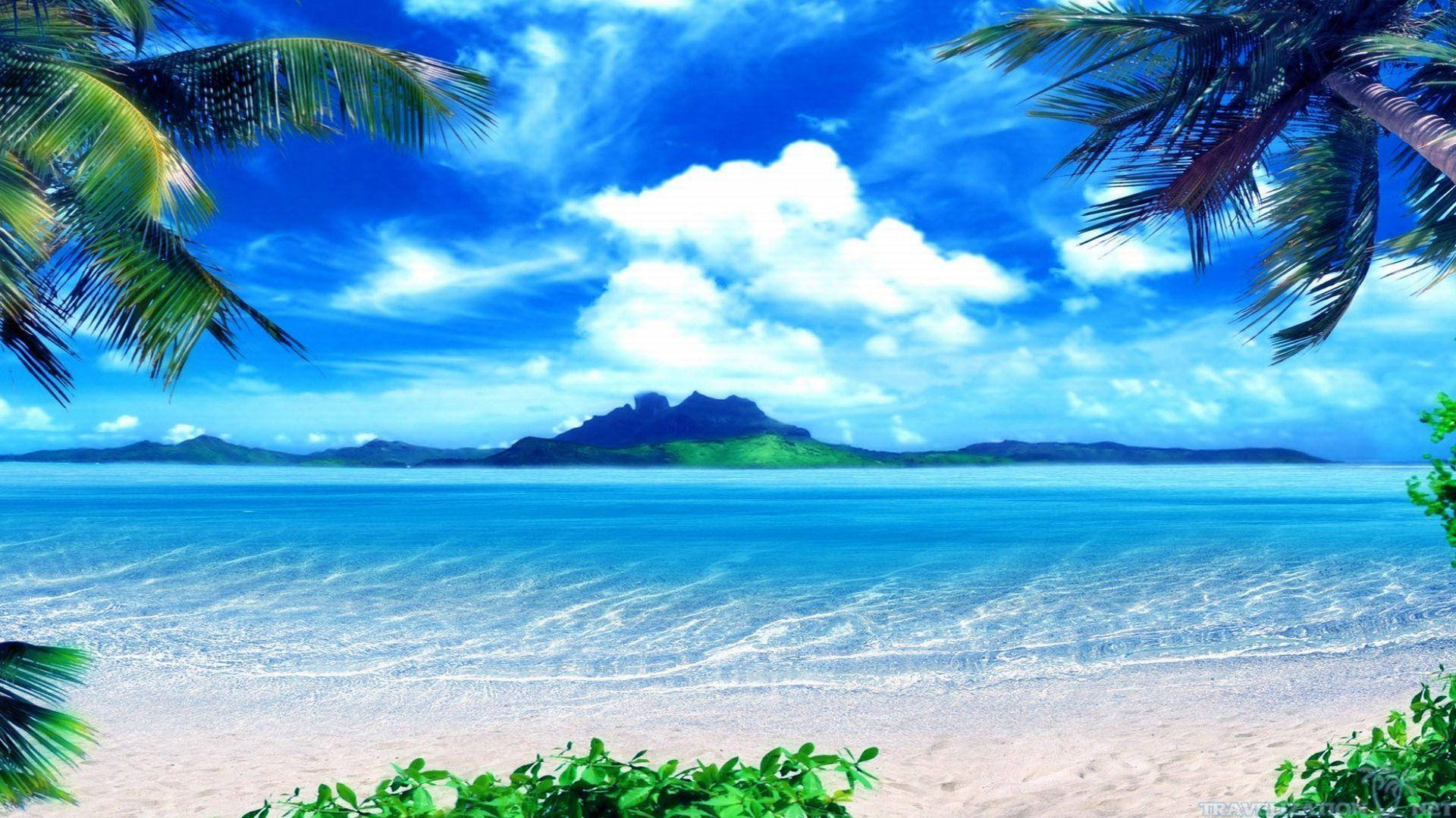 Bahamas Blue Sky And Sea Background