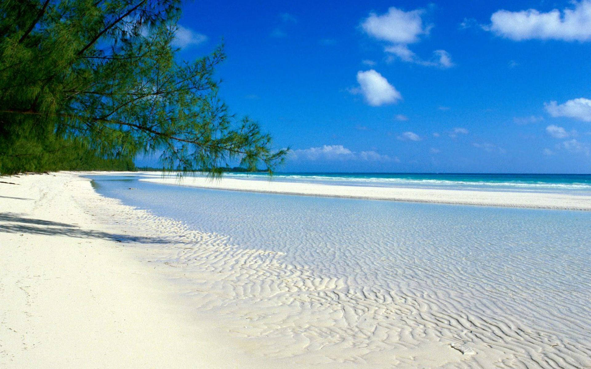 Bahamas Calm Beach