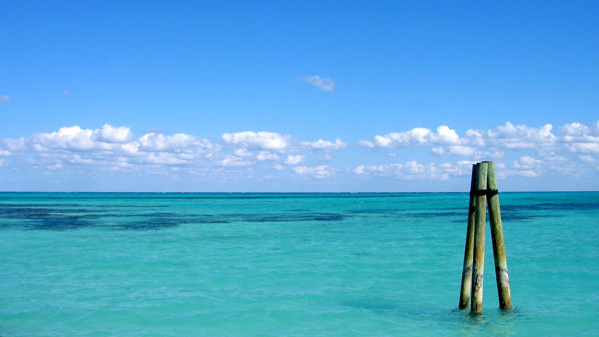 Bahamas Ocean View Background