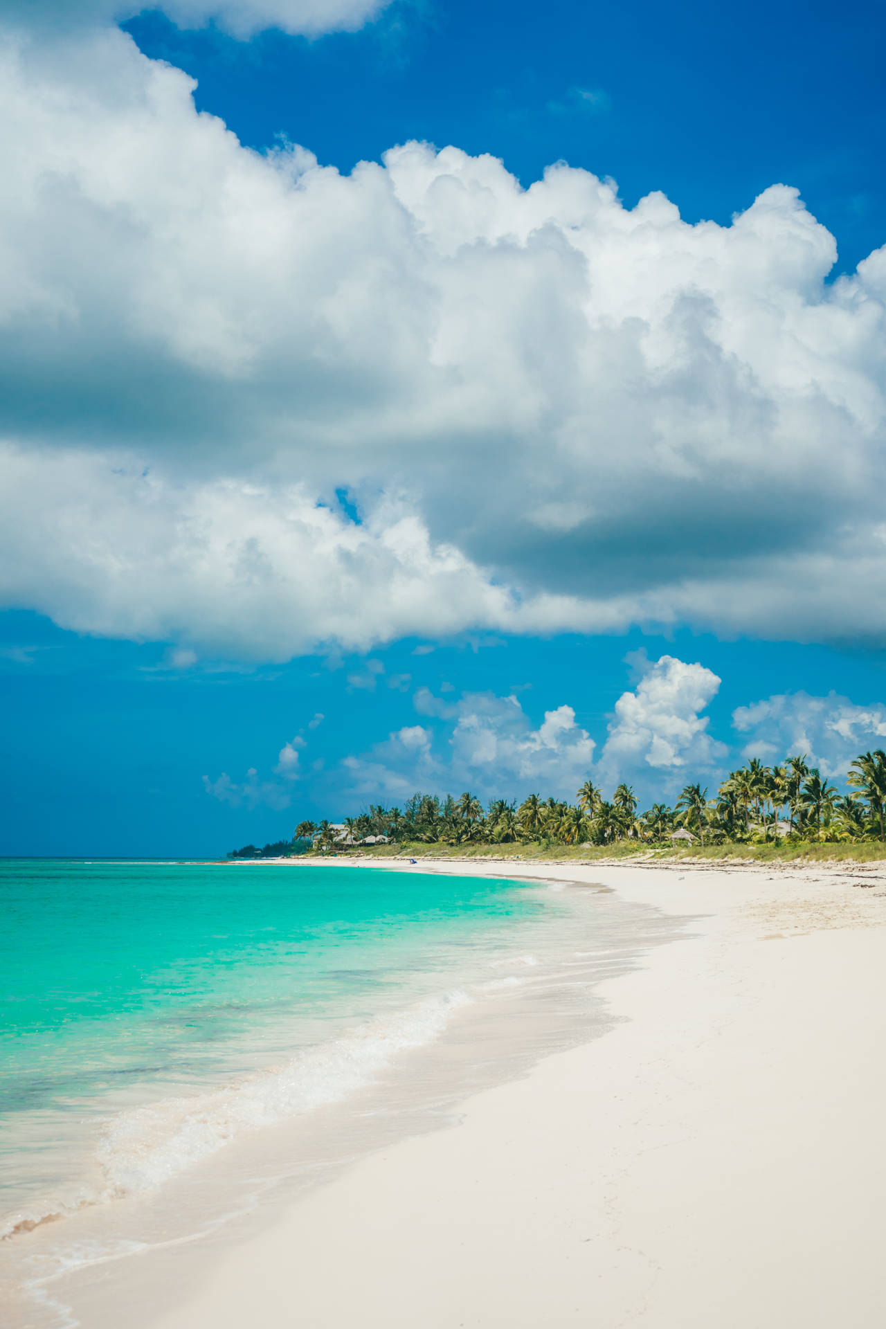 Bahamas White Sand Beach Background