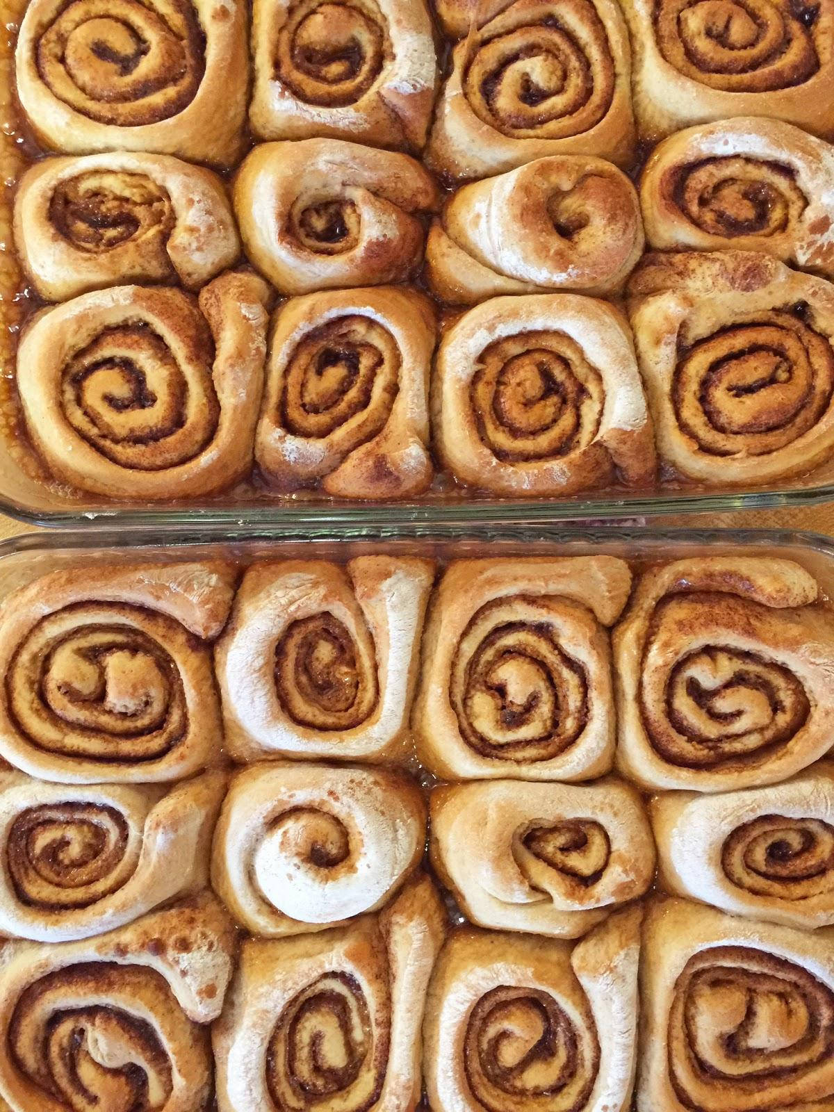 Baking Dish Full Of Cinnamon Rolls Background