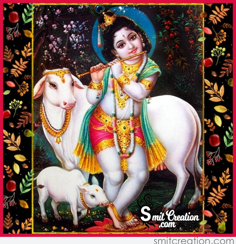 Bal Krishna Playing Flute With Cows Background
