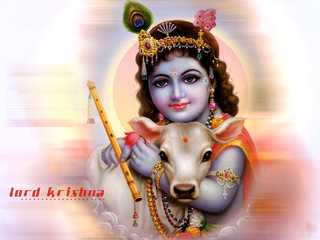 Bal Krishna With Flute While Hugging A Calf