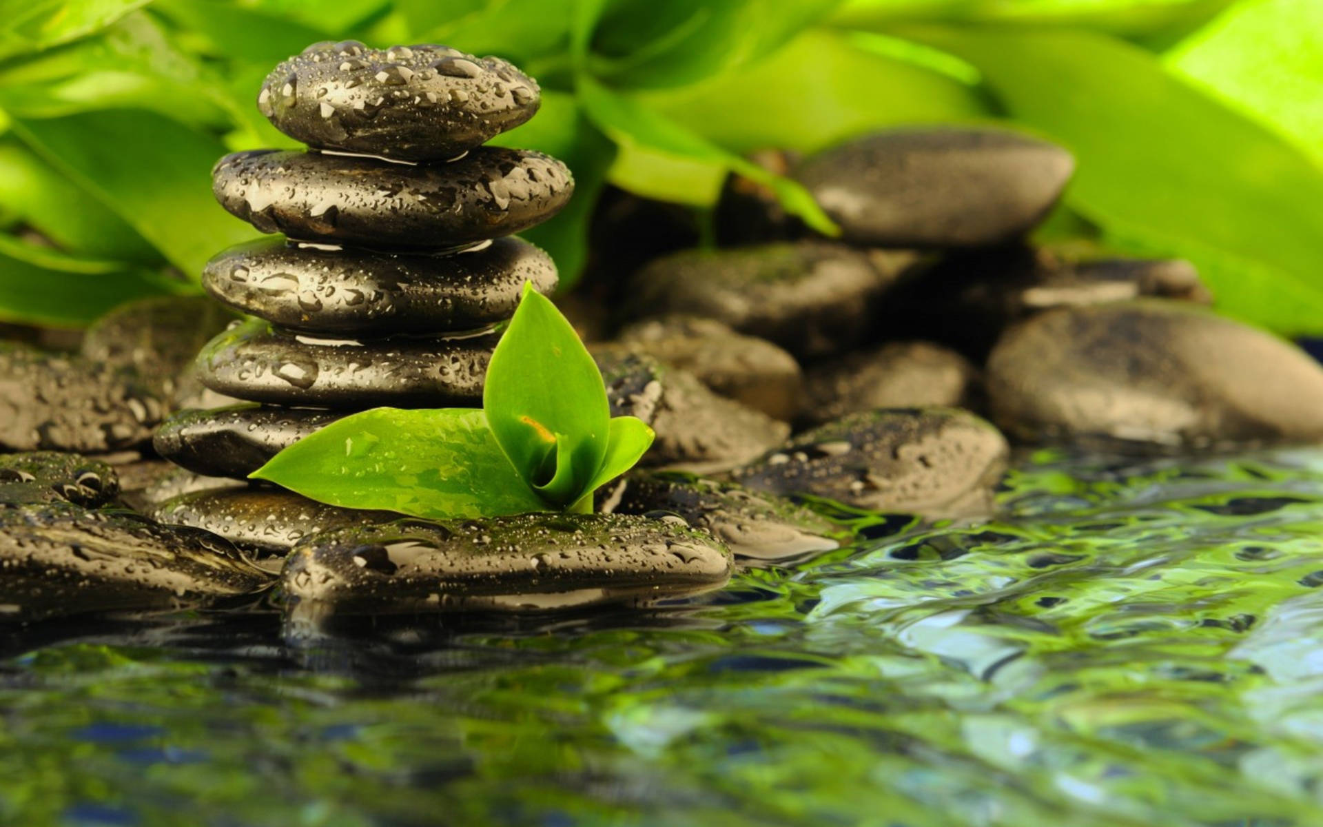 Balanced Zen Stones With Leaves Therapy