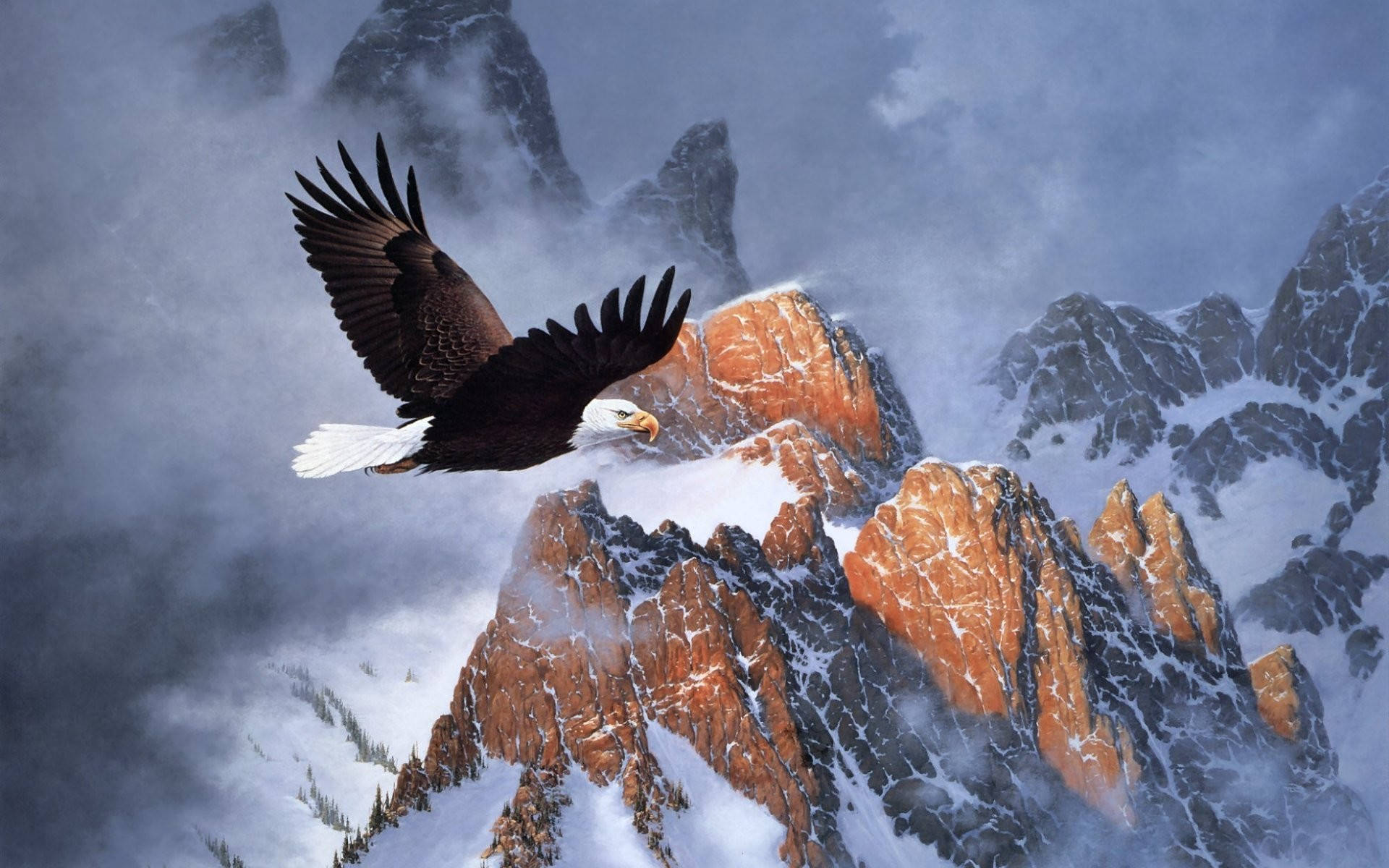 Bald Eagle Over Snow-capped Mountain Background