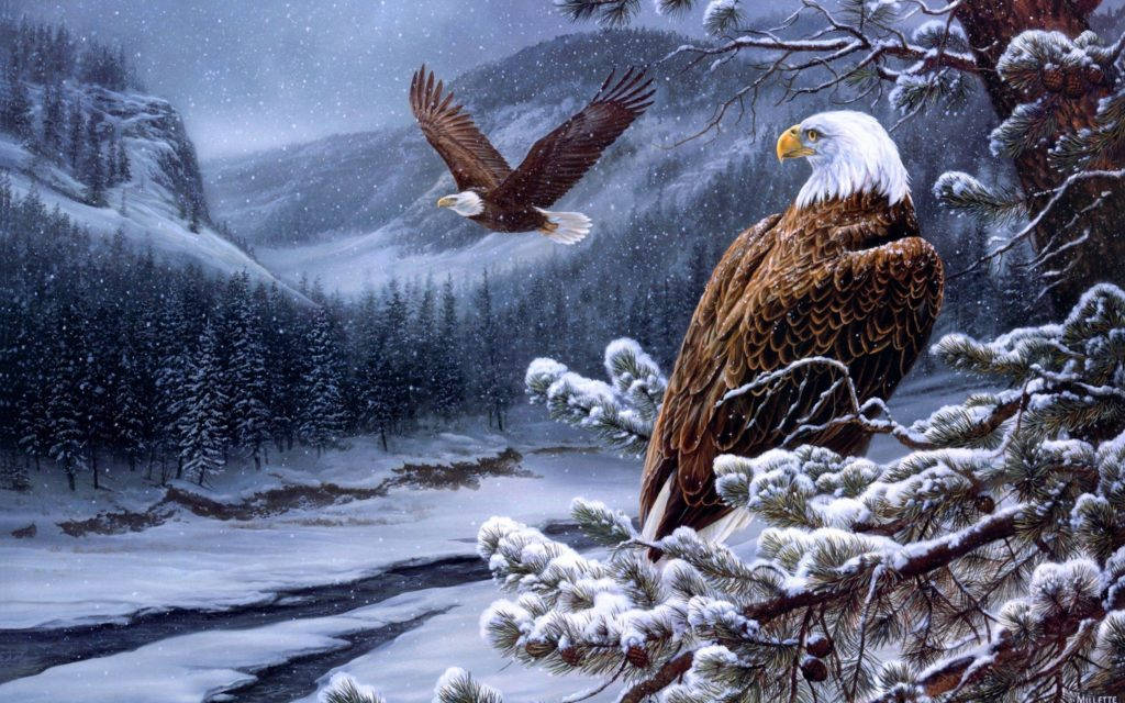 Bald Eagle Painting Background