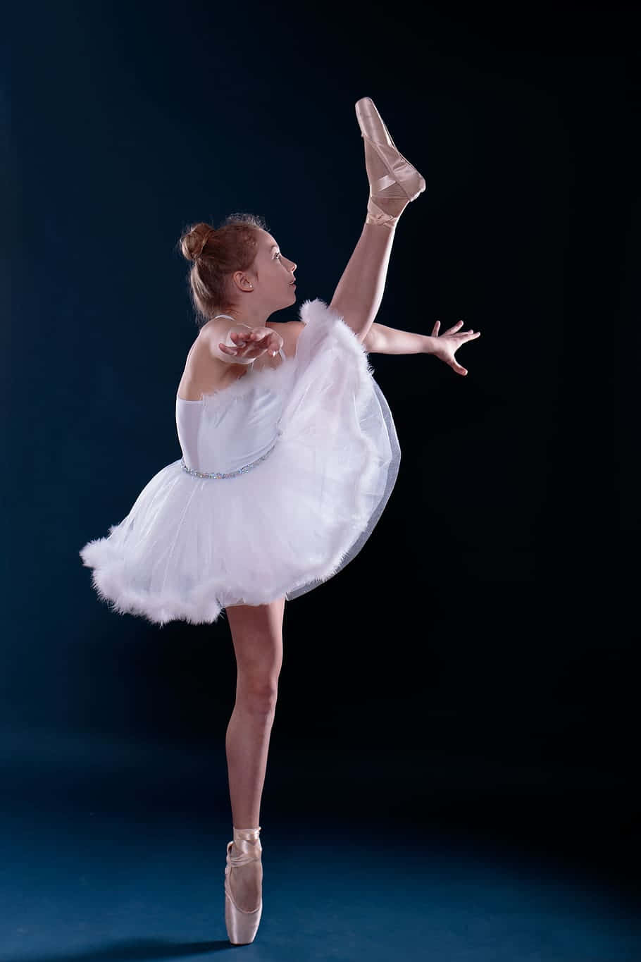 Ballerina Dancer High Kick Photography Background