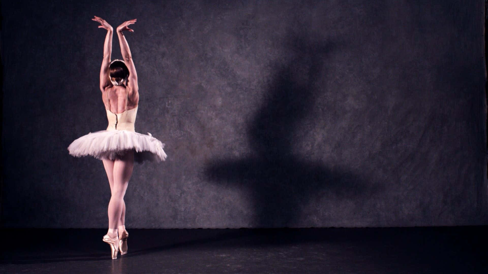 Ballerina Dancer Shadow Photography Background