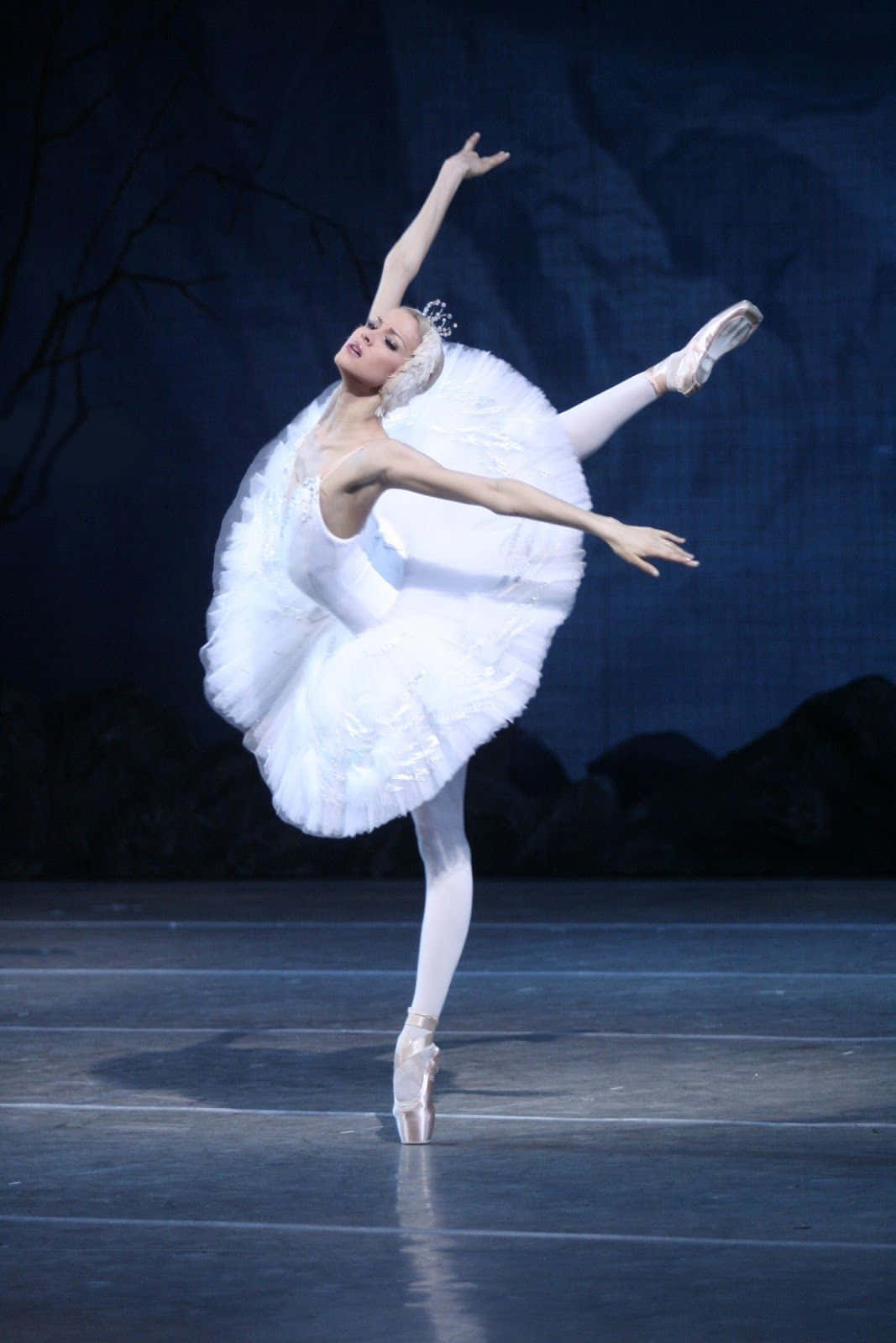 Ballerina Dancer Swan Pose Photography Background