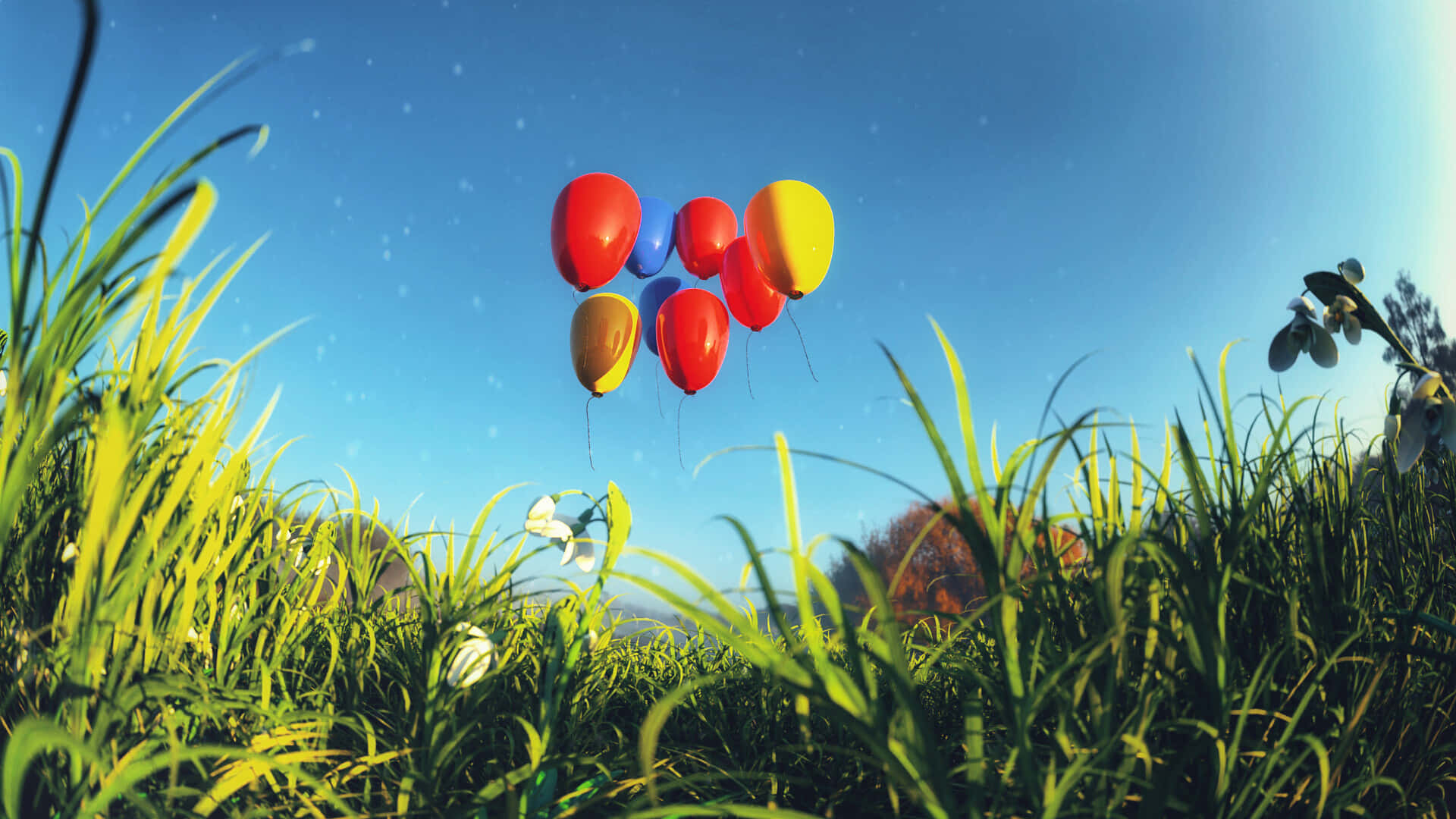 Balloons Over Meadow Sunny Sky Background