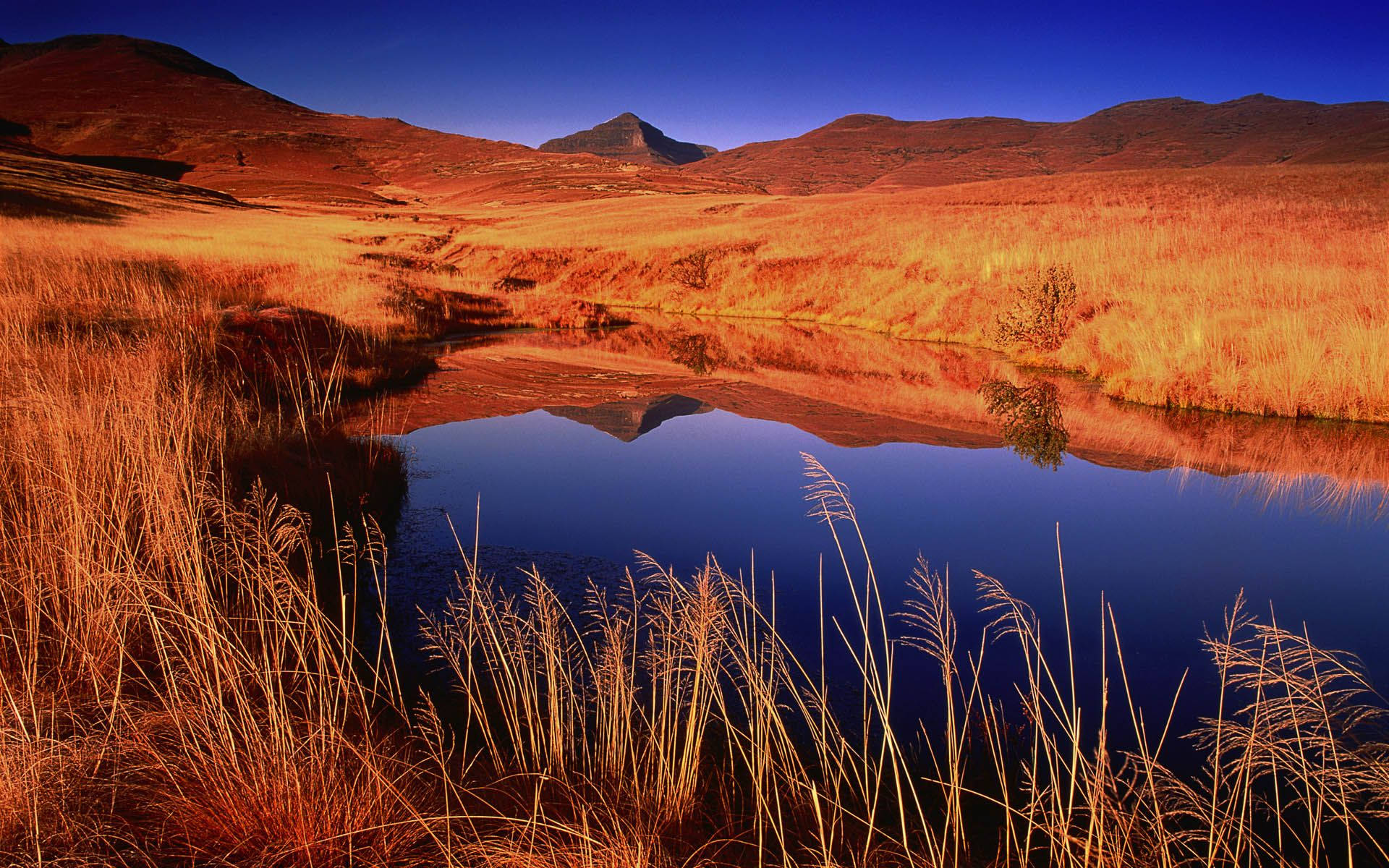 Ballycroy National Park In South Africa Background