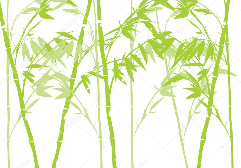 Bamboo 4k Abstract Art Background