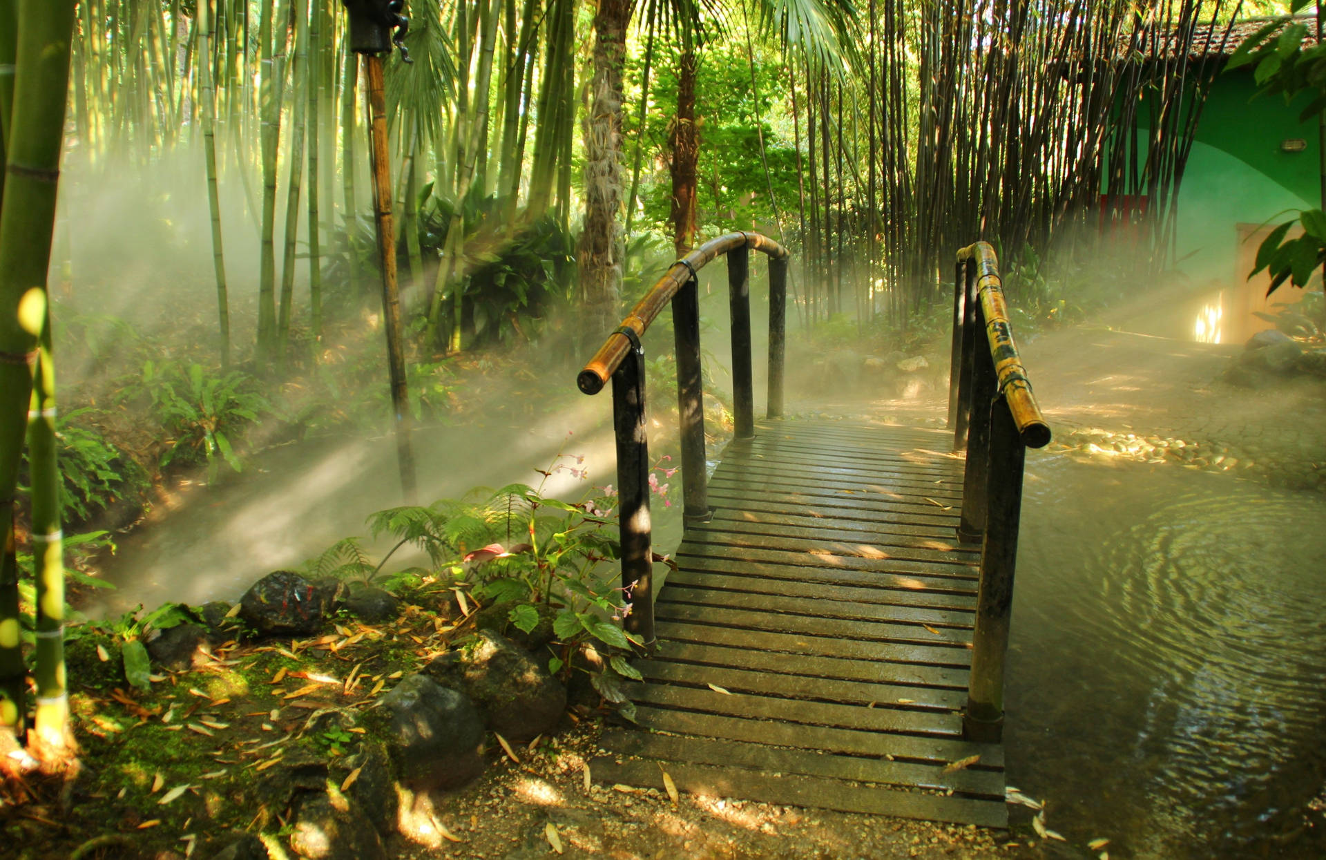 Bamboo 4k Forest Garden With Bridge Background