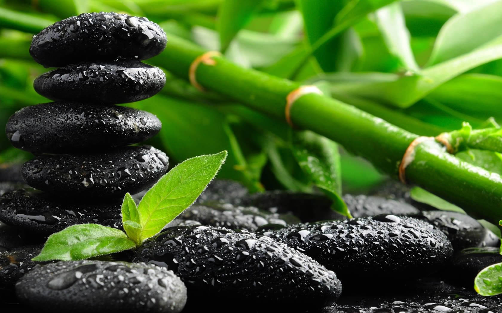 Bamboo And Zen Stones Therapy Background