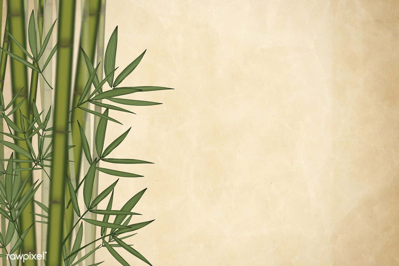 Bamboo Background With A Bamboo Tree Background