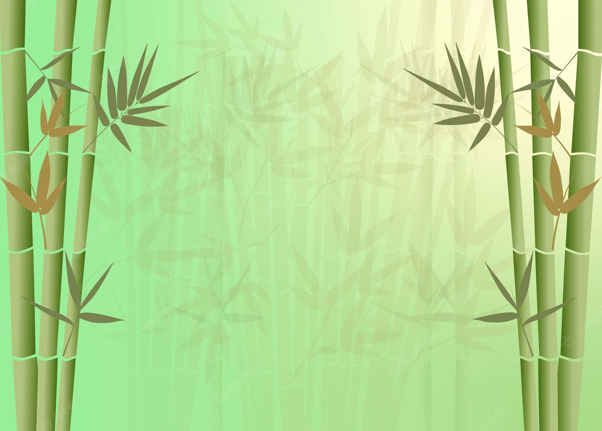 Bamboo Forest Background Background