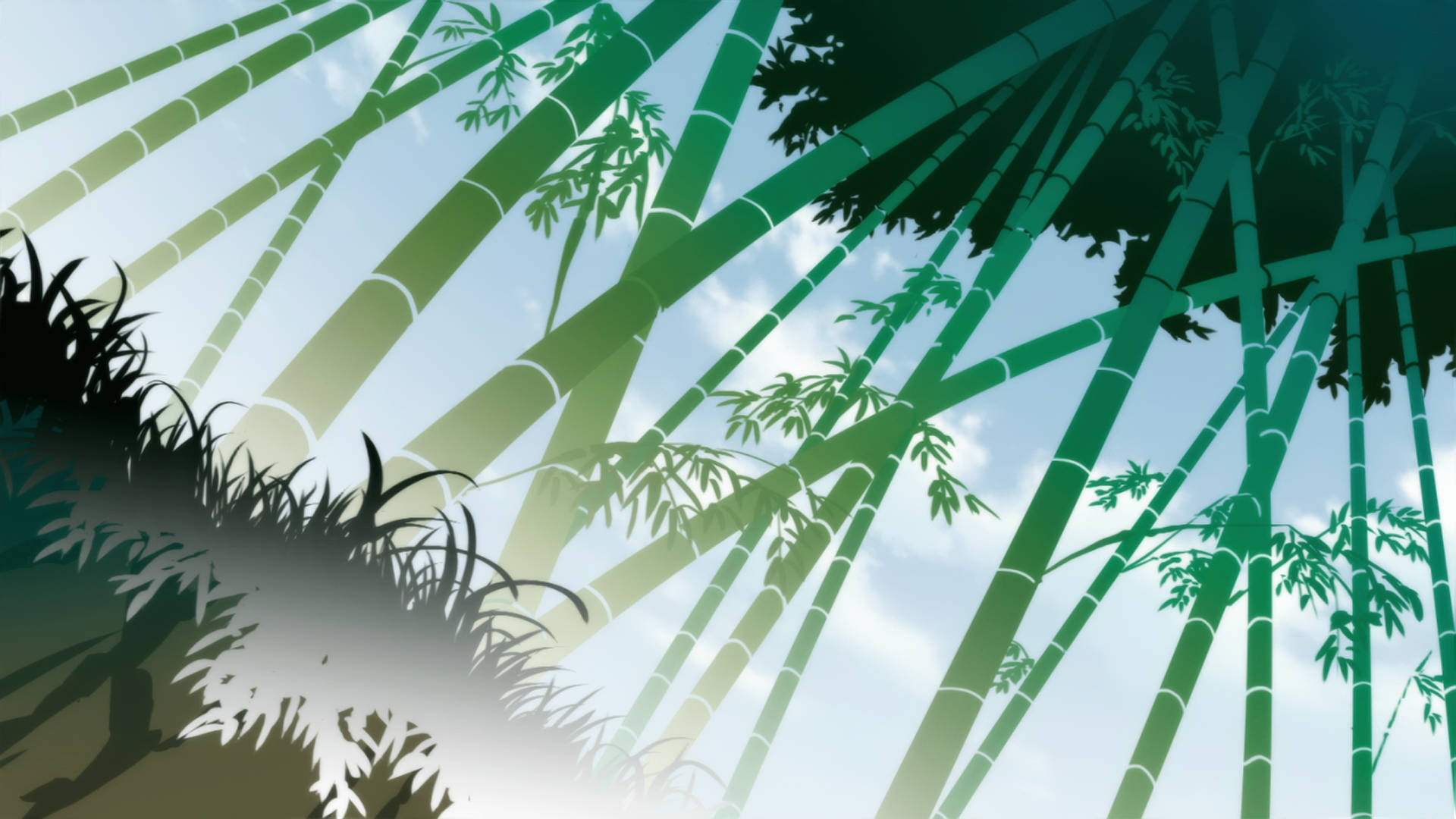 Bamboo Hd Graphic Artwork Background