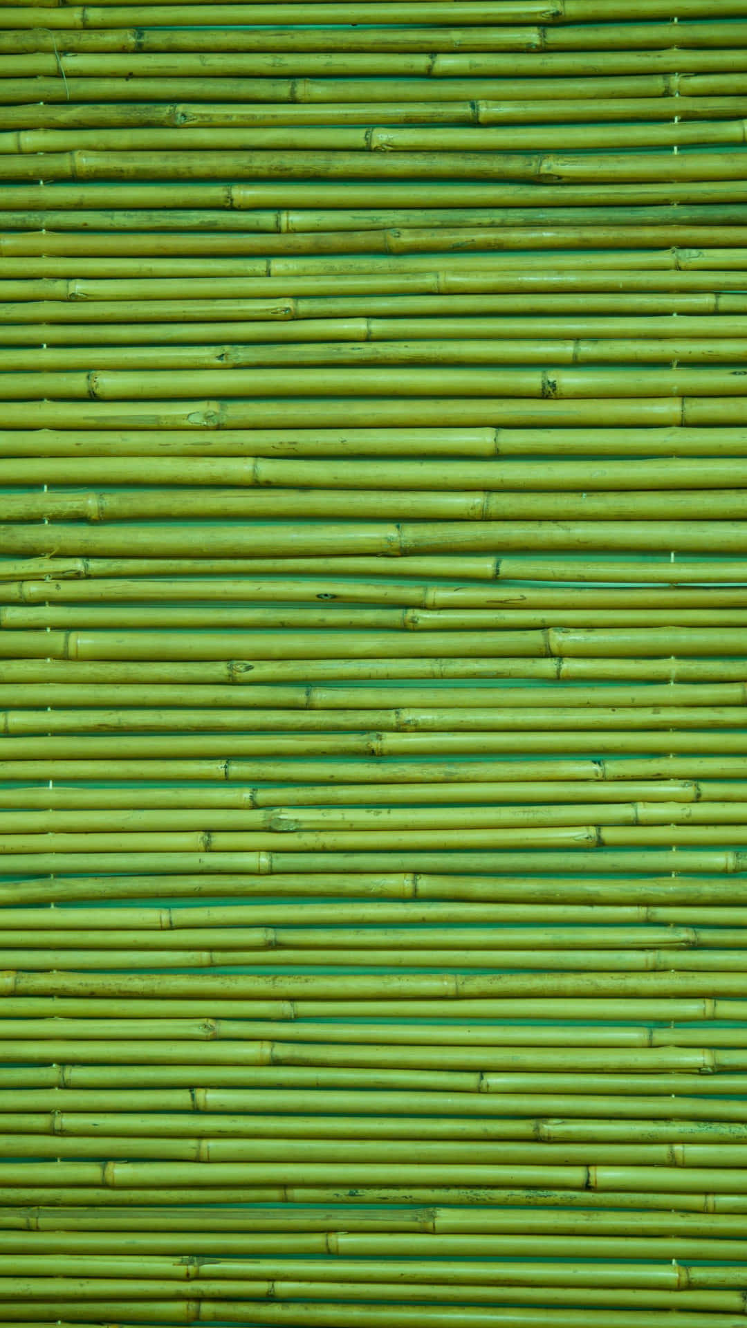 Bamboo Netting Background Photo Background