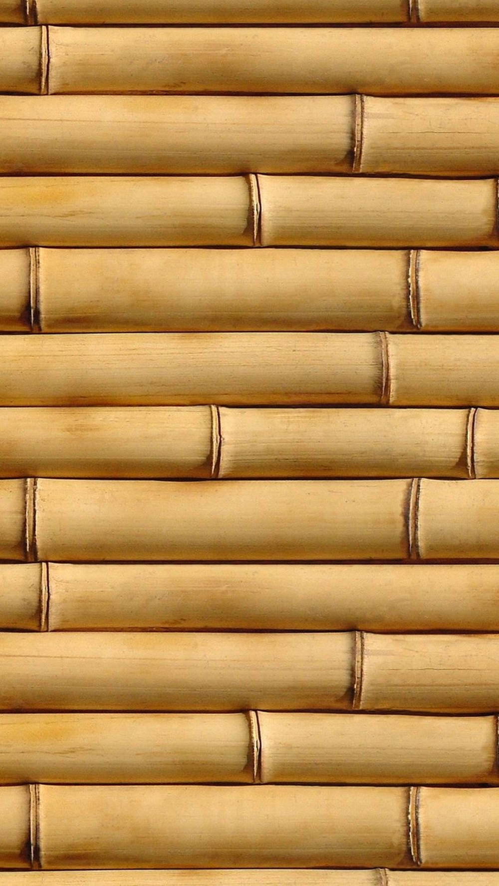 Bamboo Pattern Iphone