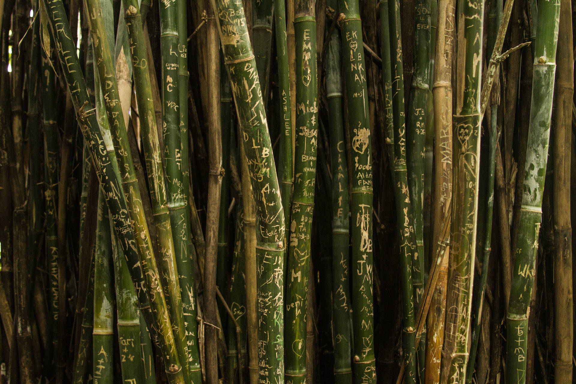 Bamboo Poles With Engravings Background