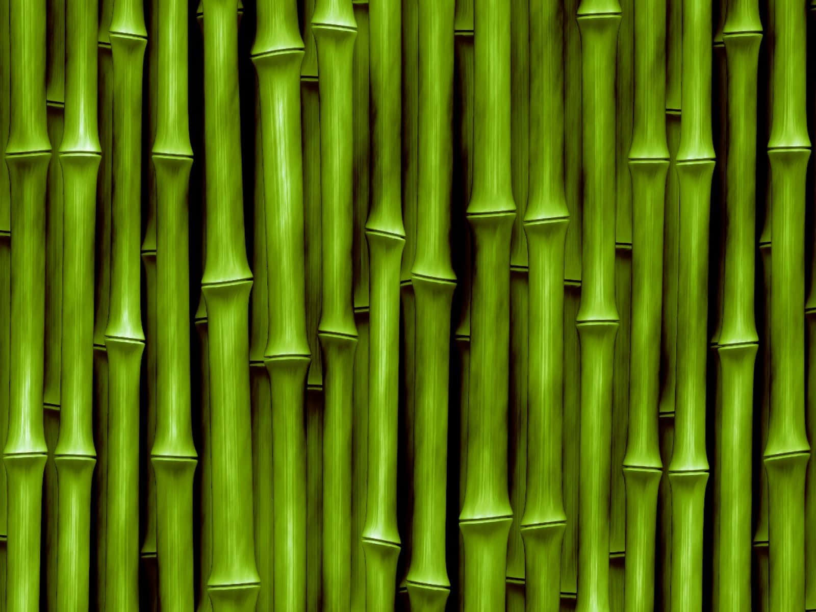 Bamboo Stalks Wallpaper - Bamboo Stalks Wallpaper Fine Art Print Background