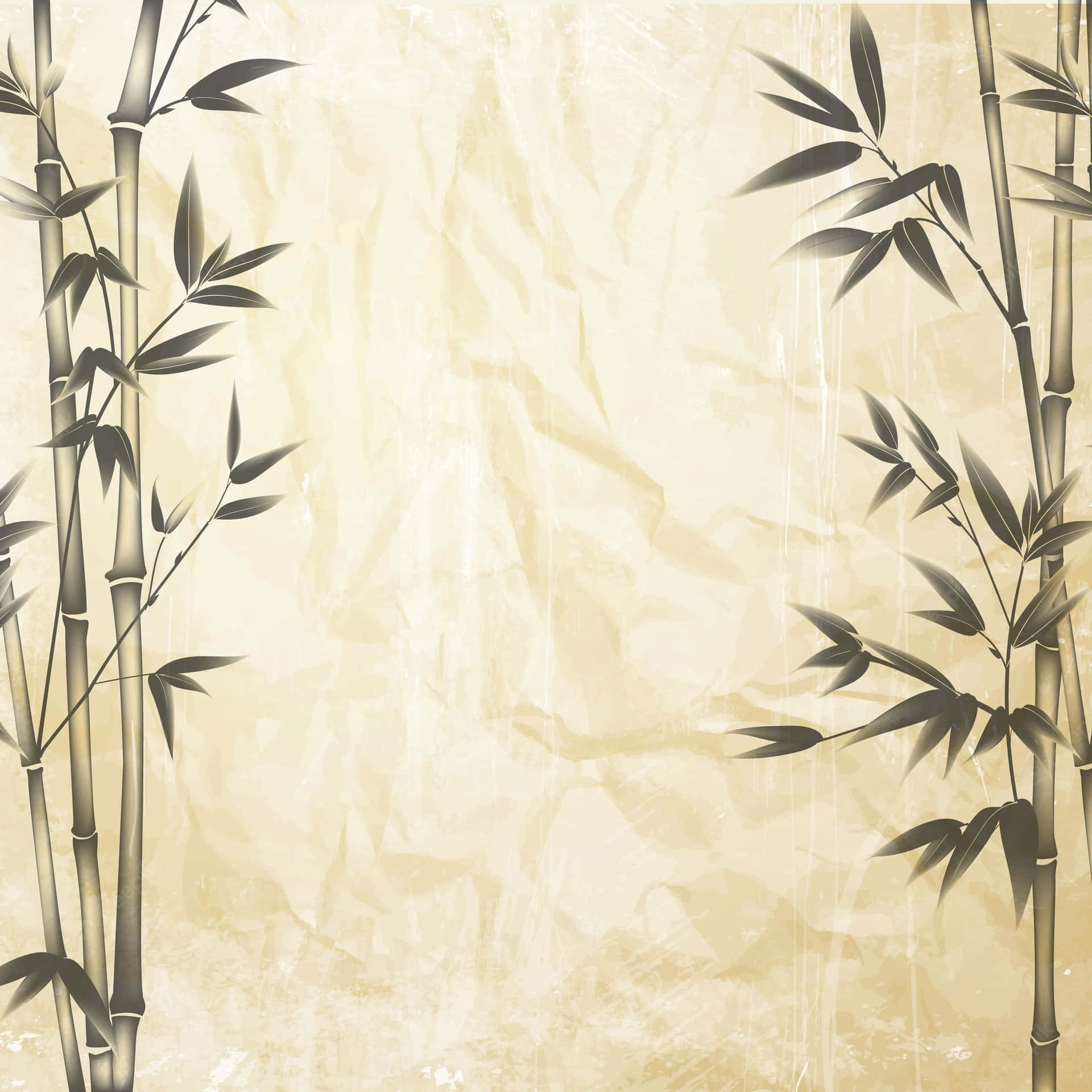 Bamboo Tree On A Beige Background Background