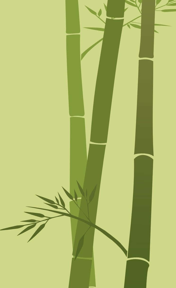 Bamboo Tree Vector Illustration Background