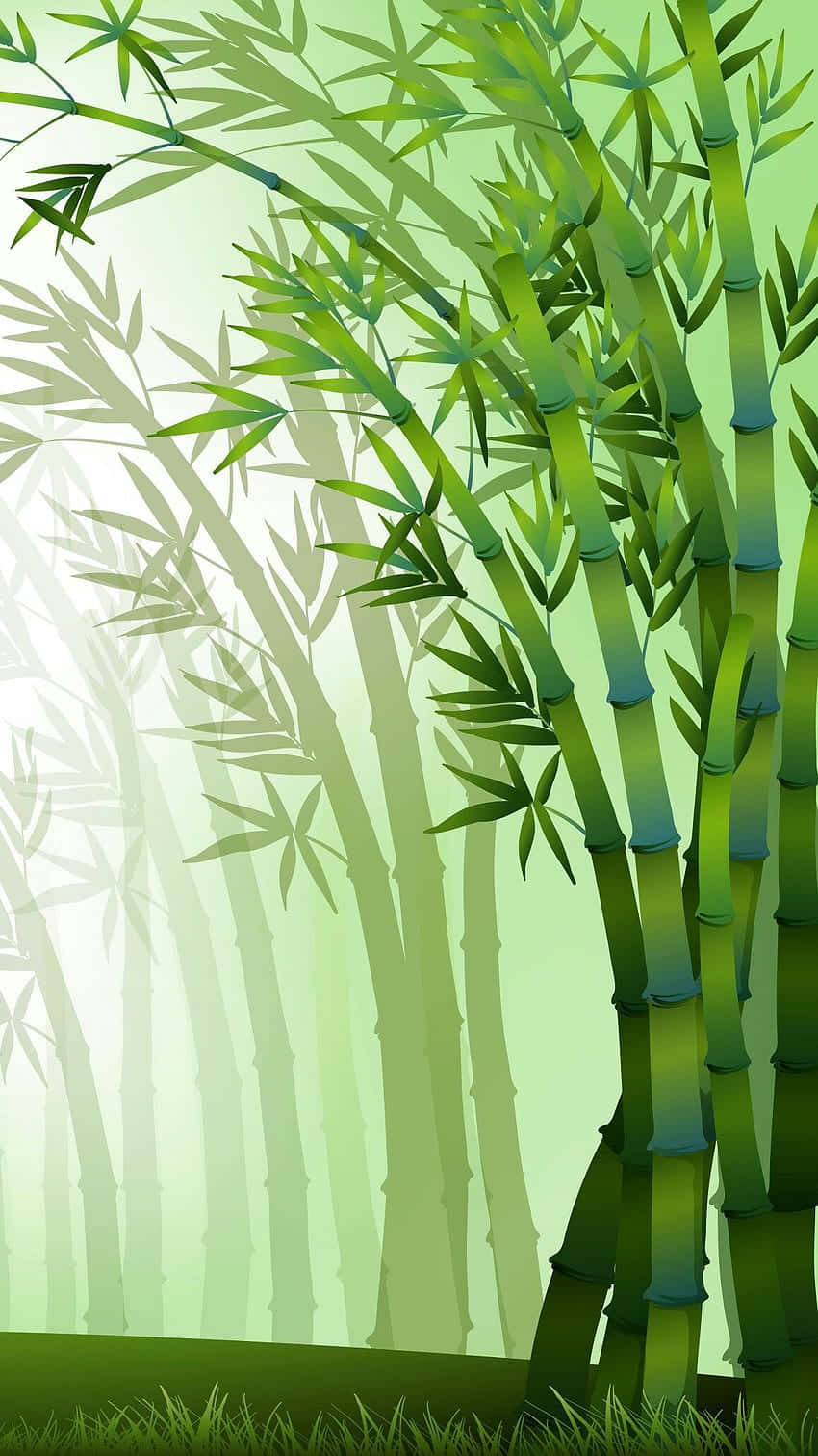 Bamboo Trees In The Forest Background