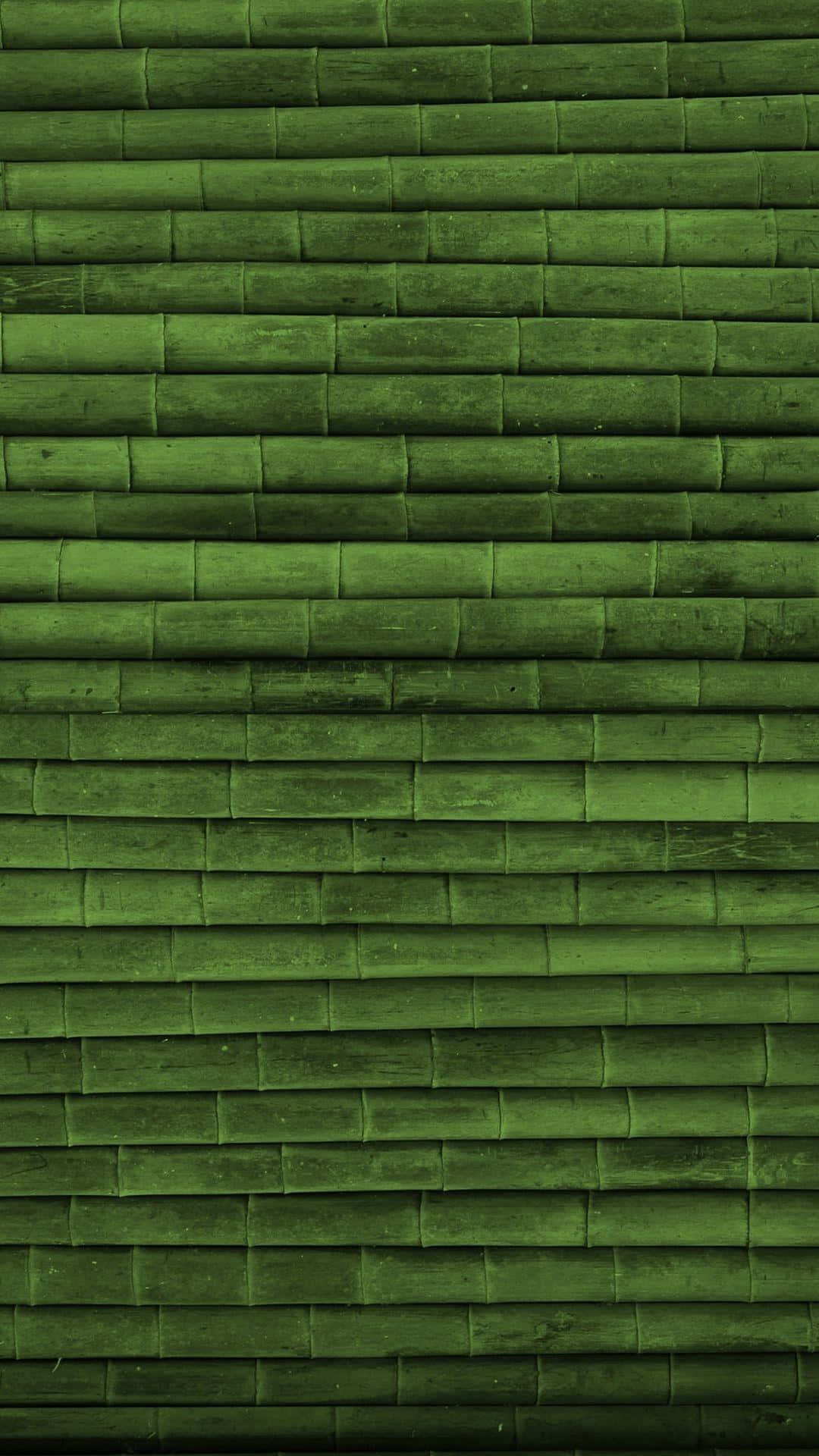 Bamboo Wall Background — Stock Photo